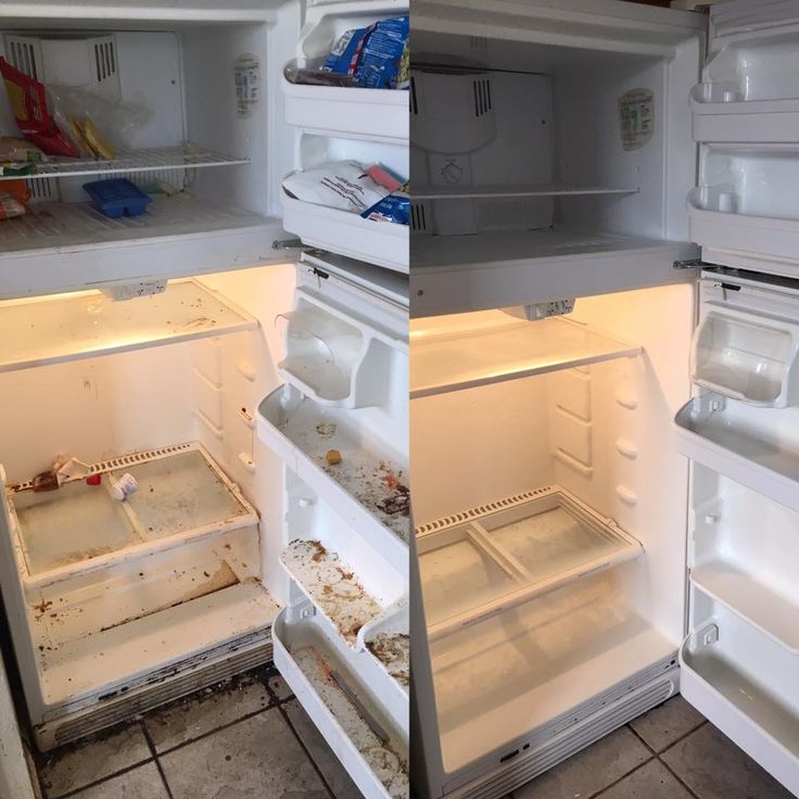 Refrigerator deep clean before and after